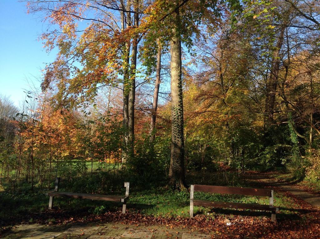 Hotel Und Apartment Garni Eurode Live Herzogenrath Exteriör bild